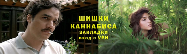 сатива Козельск