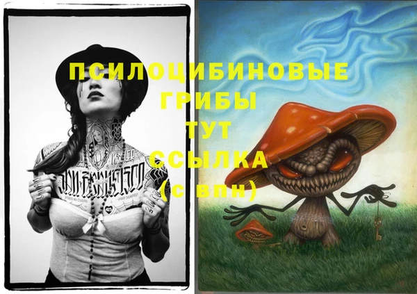 2c-b Волосово