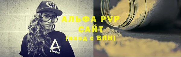 сатива Козельск