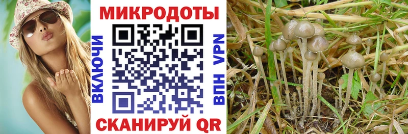 кракен ссылки  Лагань  Псилоцибиновые грибы ЛСД  дарнет шоп 